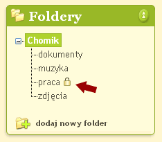 Wygląd zahasłowanego folderu w drzewku